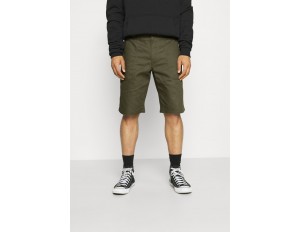 Dickies FUNKLEY - Shorts - military green/oliv