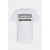 G-Star ORIGINALS STRIPE LOGO - T-Shirt print - white/weiß